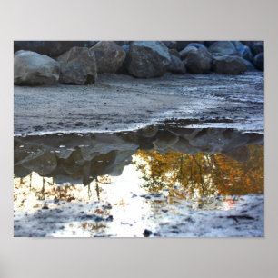 Poster Réflexions Dans Une Nature Pénible