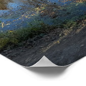 Poster Réflexions d'automne sur l'affiche de Creek (Coin)