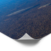 Poster Réflexions de Cradle Mountain et Dove Lake (Coin)