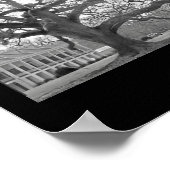 Poster Réflexions de la Louisiane (Coin)