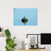 Poster Réflexions de l'affiche du printemps (tortue) (Bureau à domicile)