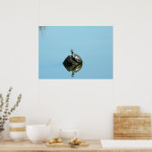 Poster Réflexions de l'affiche du printemps (tortue) (Cuisine)