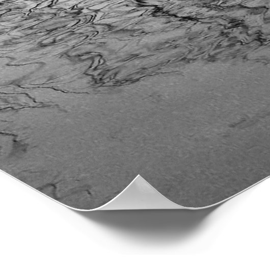 Poster Réflexions de l'arbre (Coin)