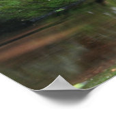 Poster Réflexions de Mineral Creek (Coin)