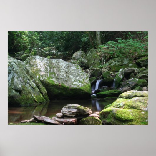 Poster Réflexions de Mineral Creek (Devant)