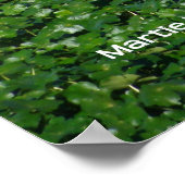 Poster Réflexions en vert (Coin)