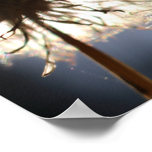 Poster Réflexions légères (Coin)