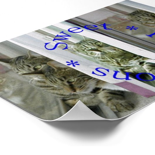 Poster Réflexions sucrées (Coin)