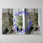 Poster Réflexions sucrées (Devant)