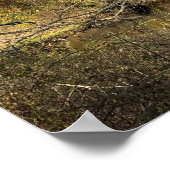 Poster Réflexions sur l'affiche du ruisseau (Coin)