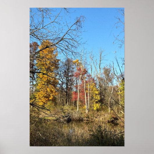 Poster Réflexions sur l'affiche du ruisseau (Devant)