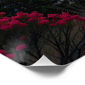 Poster Réflexions sur le coucher du soleil (Coin)