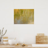 Poster Réflexions sur les étangs (Cuisine)