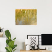 Poster Réflexions sur les étangs (Bureau à domicile)