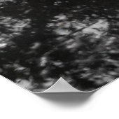 Poster Réflexions sur les tulipes (Coin)