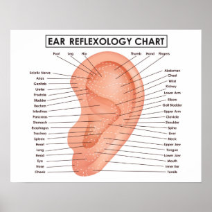 Poster Réflexologie de l'oreille 20" x 16", (Matte