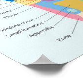 Poster Réflexologie des pieds 18 x 13 pouces (Coin)