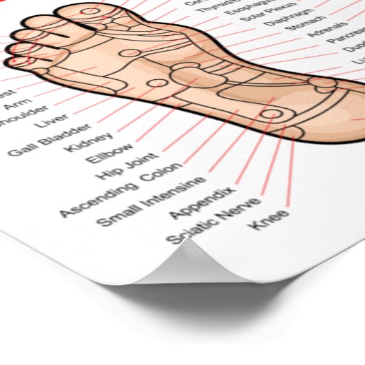 Poster Réflexologie du pied : 11x8" (Coin)