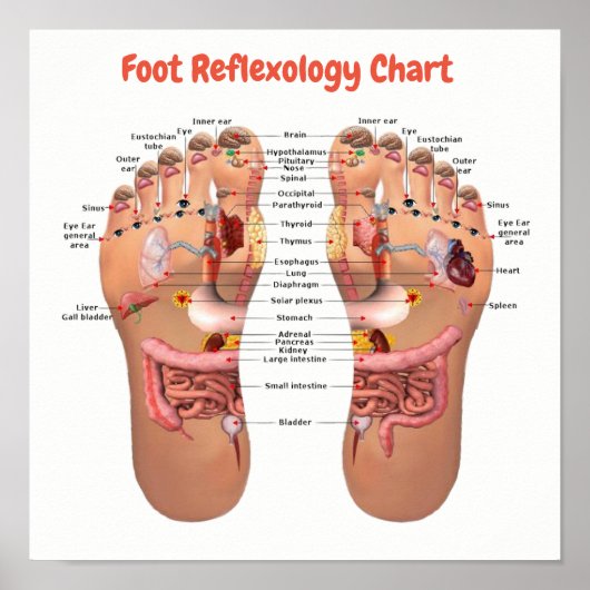 Poster réflexologie du pied 12x12" (Devant)