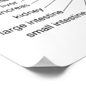 Poster Réflexologie du pied 20x16" (Coin)