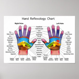 Poster Réflexologie manuelle 14x10 pouces