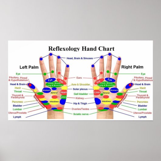 Poster Réflexologie manuelle 22x12 pouces (Devant)