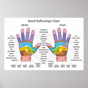 Poster Réflexologie manuelle 36x24 pouces