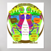 Poster reflexologie pied map classique rond autocollant (Devant)