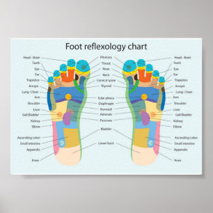 Poster réflexothérapie de pied