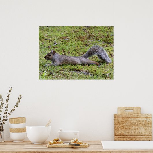 Poster Refroidissement (Cuisine)