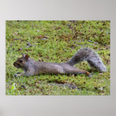 Poster Refroidissement (Devant)