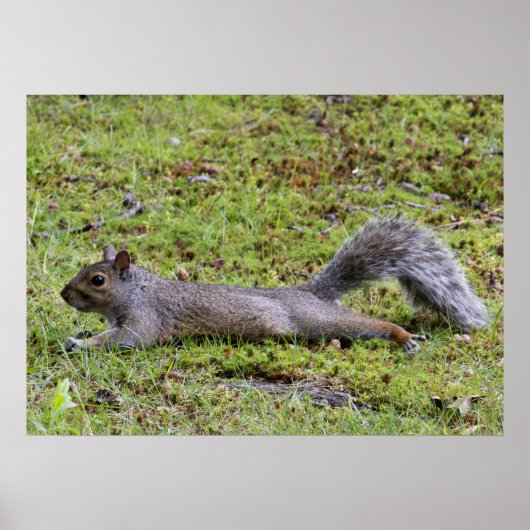 Poster Refroidissement (Devant)