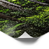 Poster Refuge à cascade verte (Coin)