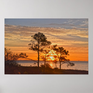 Poster Refuge de l'île Dauphin lever de soleil, Alabama