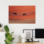 Poster Refuge faunique de Bosque del Apache | Nouveau-Mex (Bureau à domicile)