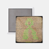 Poster Refus de la maladie de Lyme Magnet ignoré (Recto/Verso)