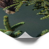 Poster Regal Bald Eagle (Coin)