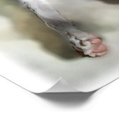 Poster Regal Iggie (Coin)