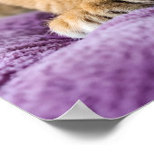 Poster Regal Pride - Wall Art Print (Coin)