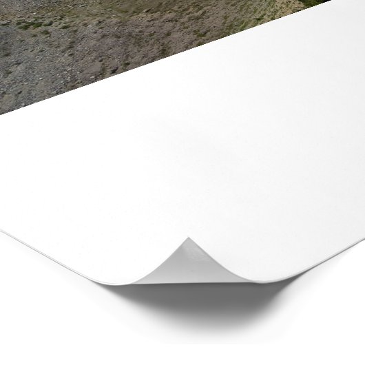 Poster Regal Rainier (Coin)