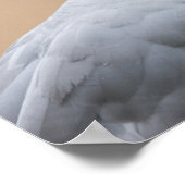 Poster Regard (Coin)