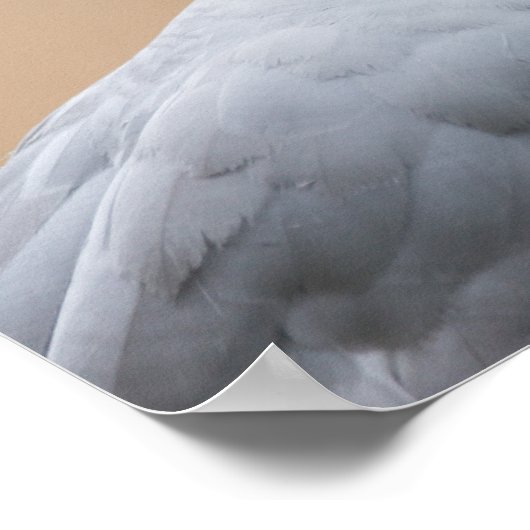 Poster Regard (Coin)