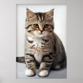 Poster Regard de chat perdu dans le temps (Devant)