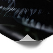 Poster Regard de l'Ombre (Coin)