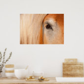 Poster Regard doux - oeil d'un cheval de trait (Cuisine)