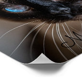 Poster Regard fascinant : Chat siamois (Coin)