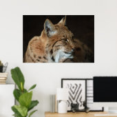Poster Regard intense : Gros plan d'un Lynx (Bureau à domicile)