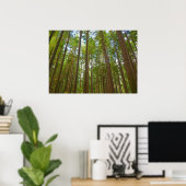 Poster Regard sur la forêt ancienne (Bureau à domicile)