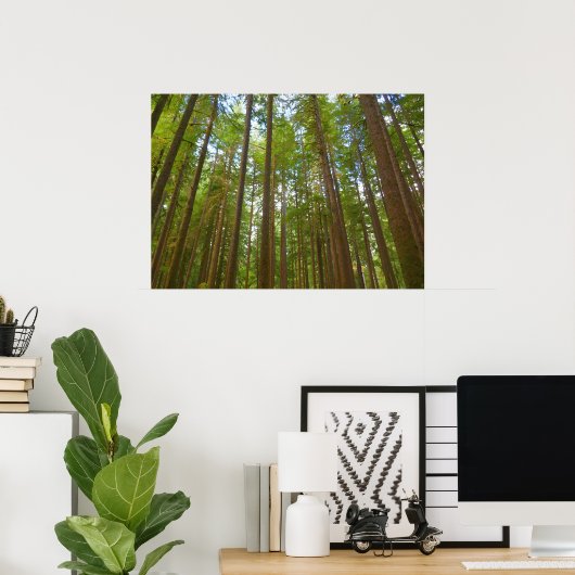Poster Regard sur la forêt ancienne (Bureau à domicile)