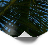 Poster Regard sur le palmier à coco Nature tropicale (Coin)